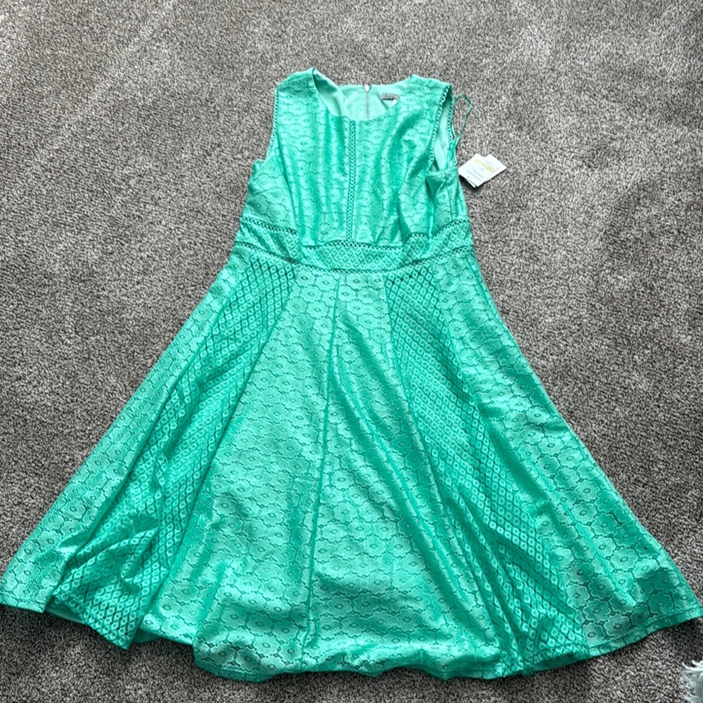 Womens Sleeveless Green Dress, Danny & Nicole, size 14P